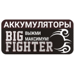  BIG FIGHTER